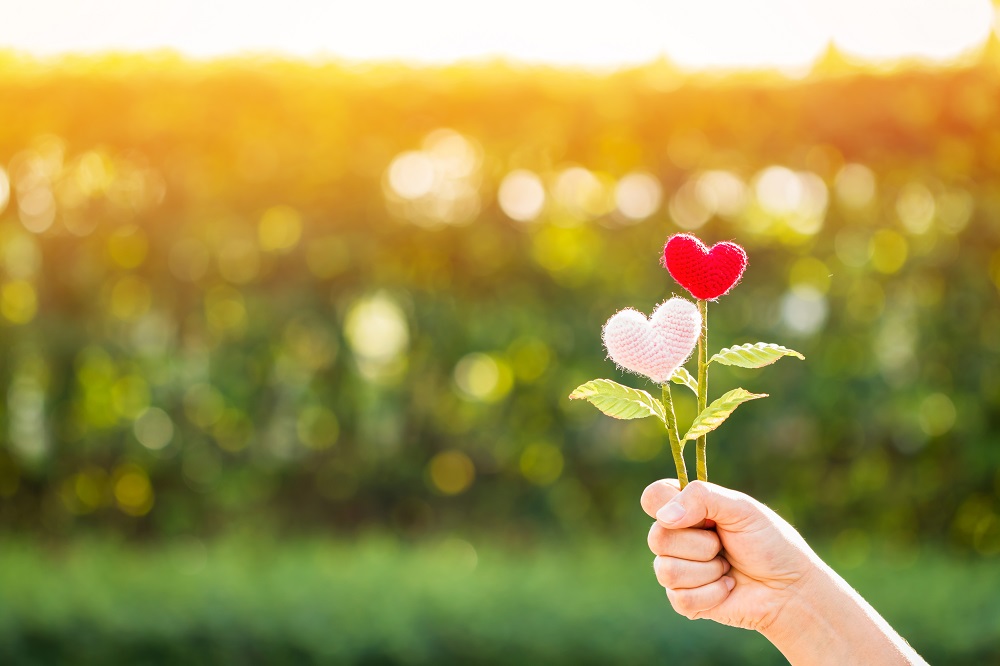 Woman,Hand,Holding,A,Flower,Of,Heart,On,Sunlight,In