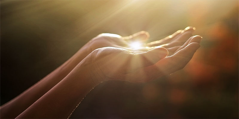 Imagem de capa - O comportamento dos nascidos da carne