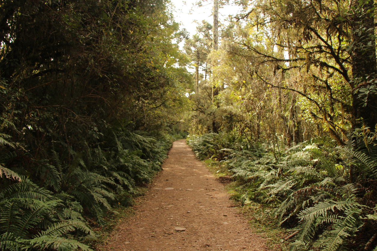 Pathway