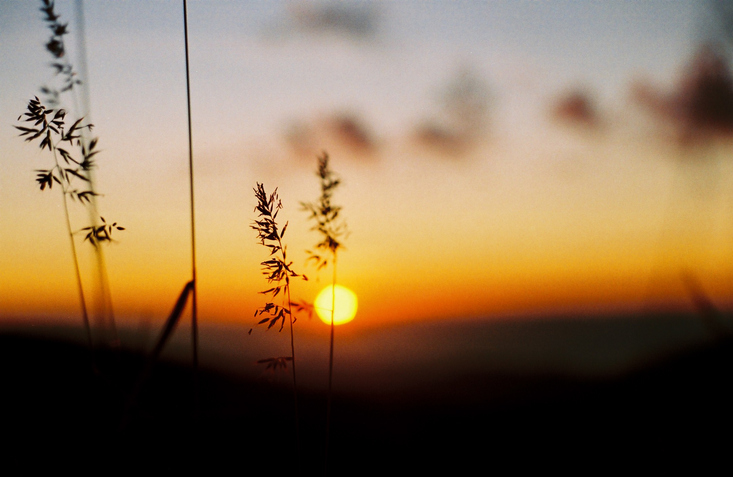 Imagem de capa - No amor, não há temor