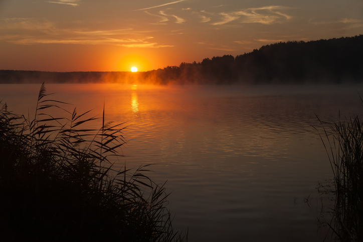 Imagem de capa - Amor e paz em abundância