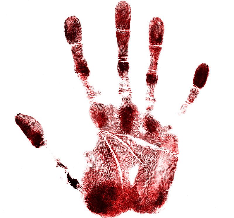Imagem de capa - Ainda não resististes até ao Sangue...