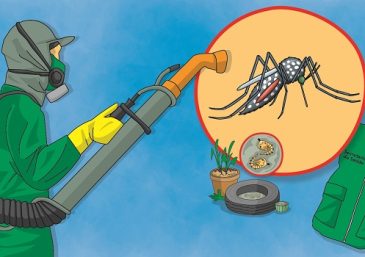 Número de mortes por dengue explode no Brasil