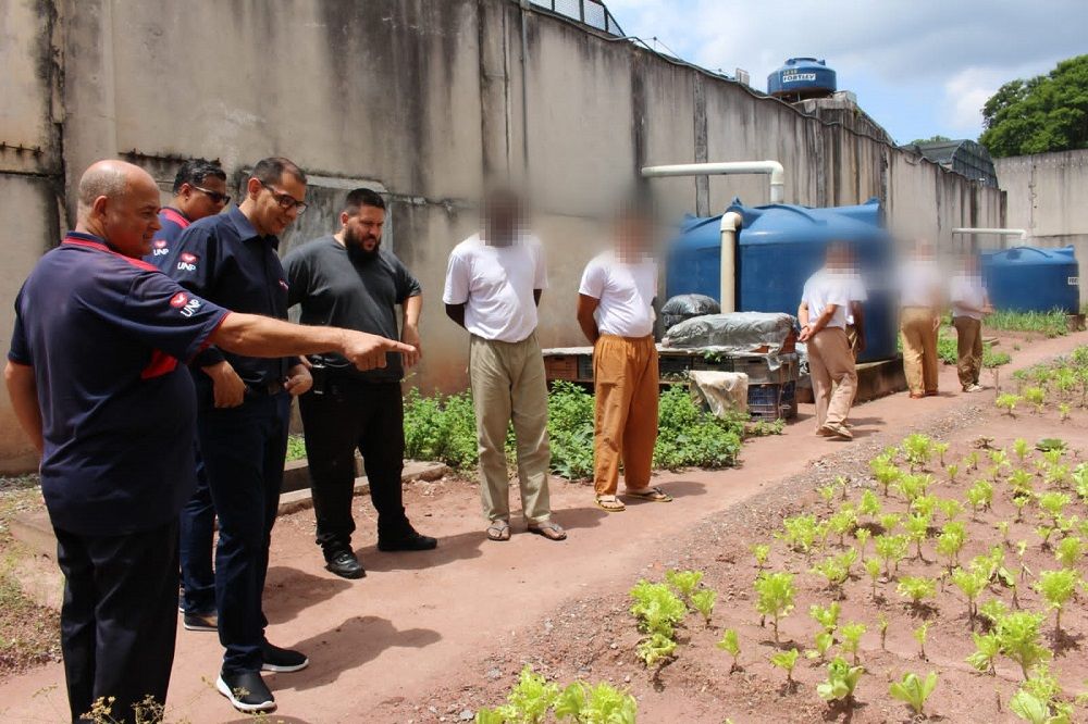 UNP promoveu curso de cultivo de hortaliças em unidade de Itapecerica da Serra (SP)