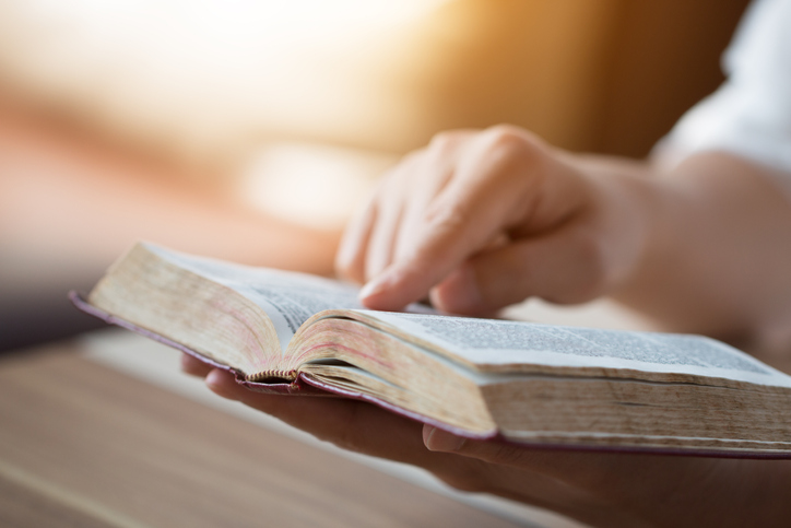 bible,women reading from the holy bible