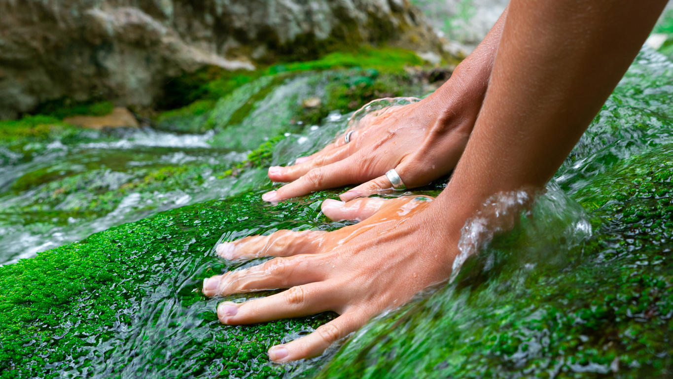 Women&#8217;s hands stroke moss growing in the clear and transparent water of a mountain river.