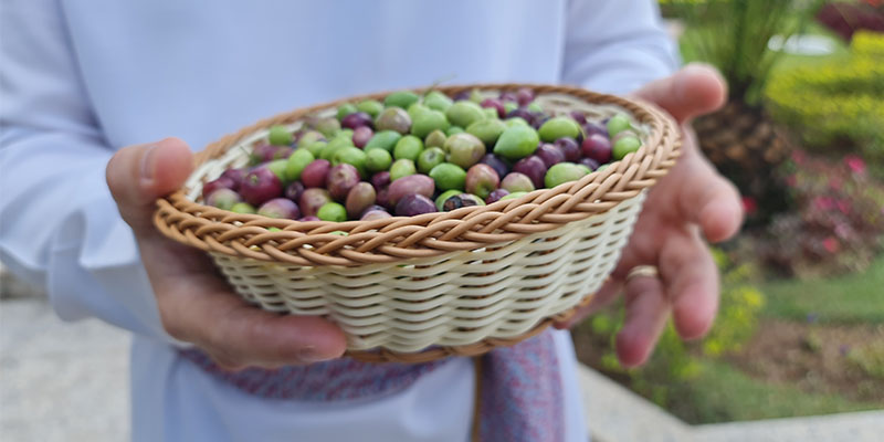 Consagração com o azeite das oliveiras