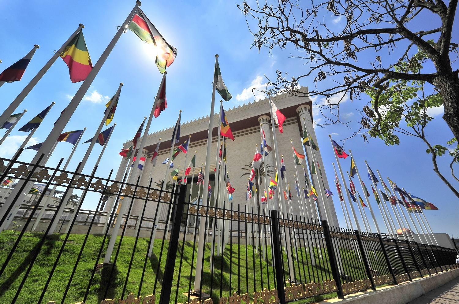 Imagem de capa - A Universal está completando 46 anos