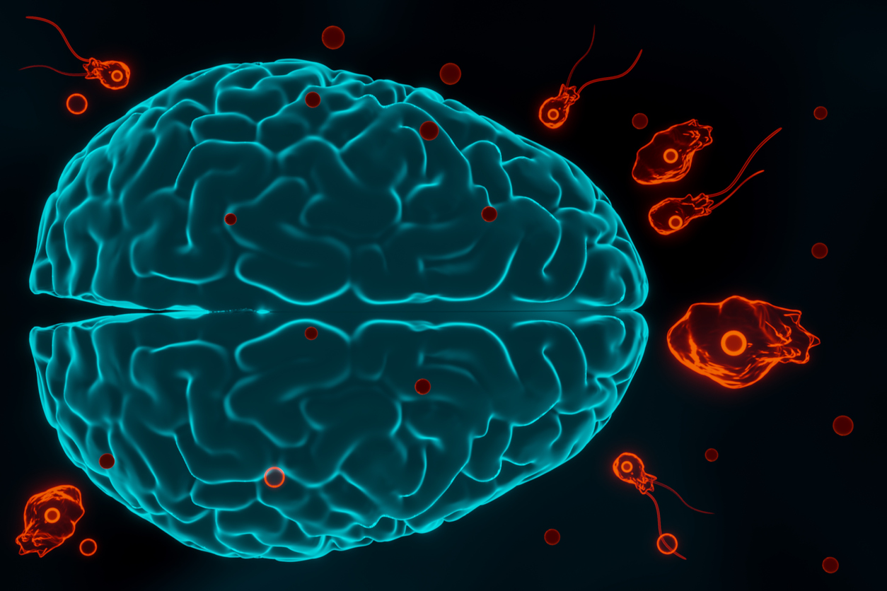 Imagem de capa - Ameba comedora de cérebro: o que é, quais sintomas e como prevenir