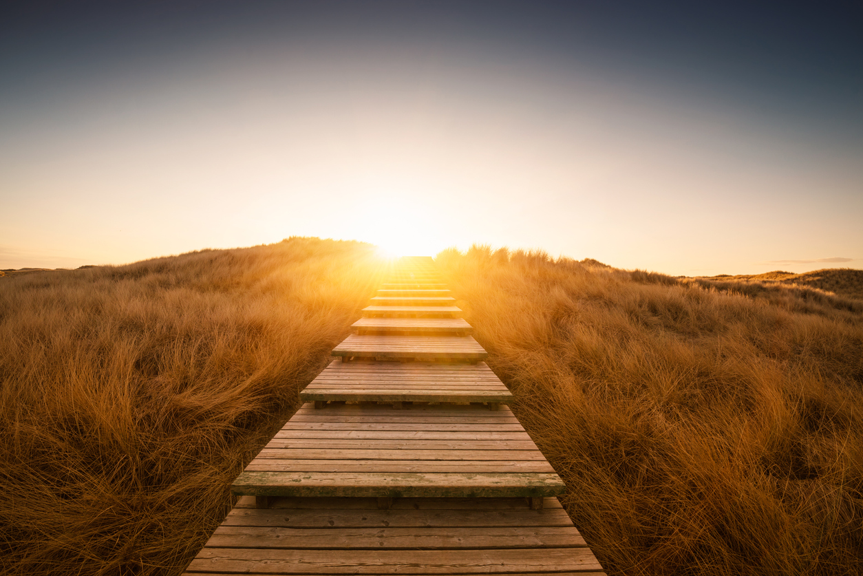 Boardwalk through the dunes