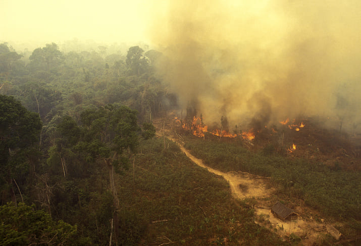Imagem de capa - Queimadas no Amazonas deixam cidades cobertas por fumaça