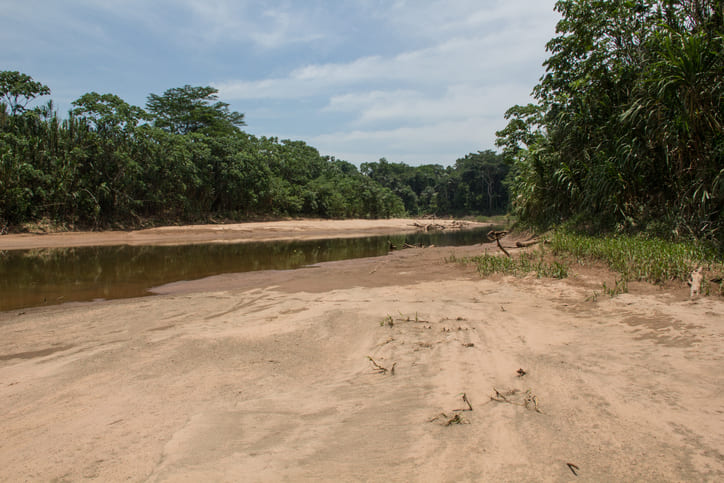 postSeca histórica no Amazonas prejudica fauna localna categoriaEm Foco