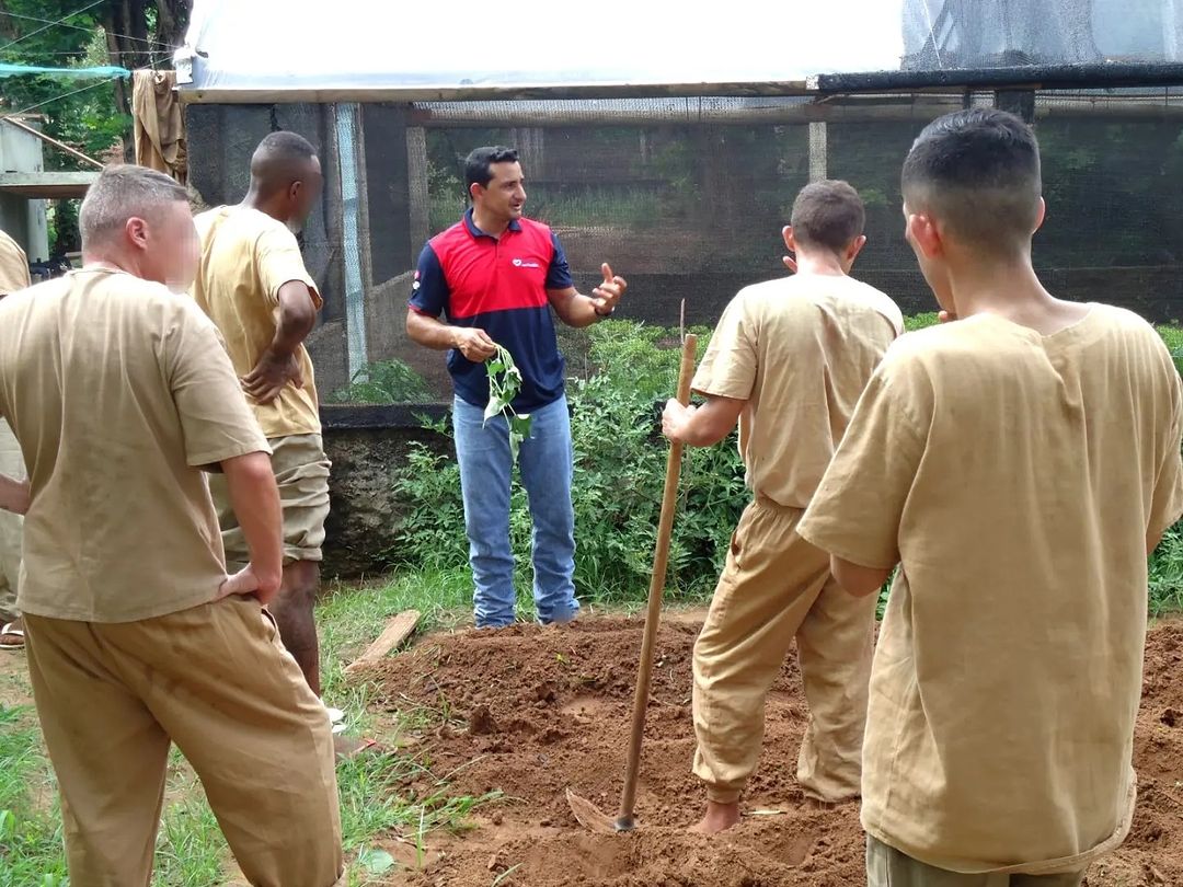 Imagem de capa - UNP promove cursos profissionalizantes em unidades prisionais de Presidente Prudente