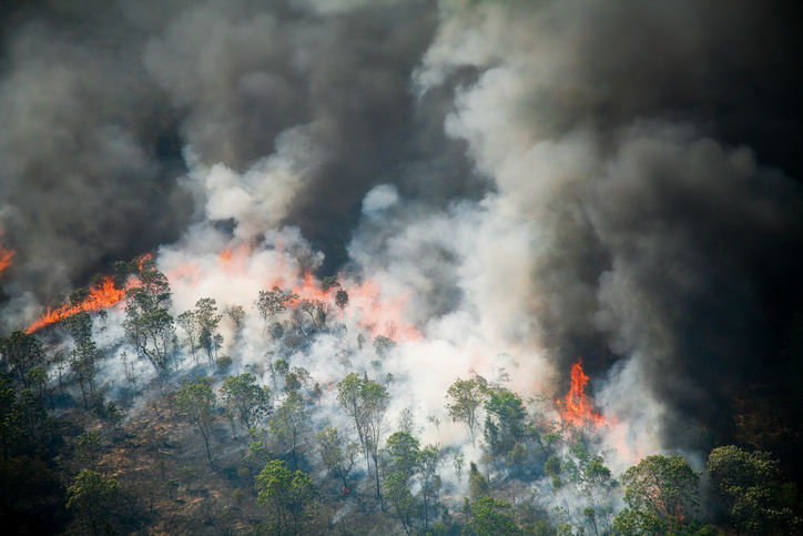 Forest fire in the Brazilian amazon