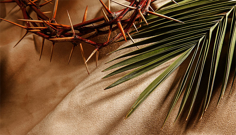 Crown of Thorns and Palm Branch