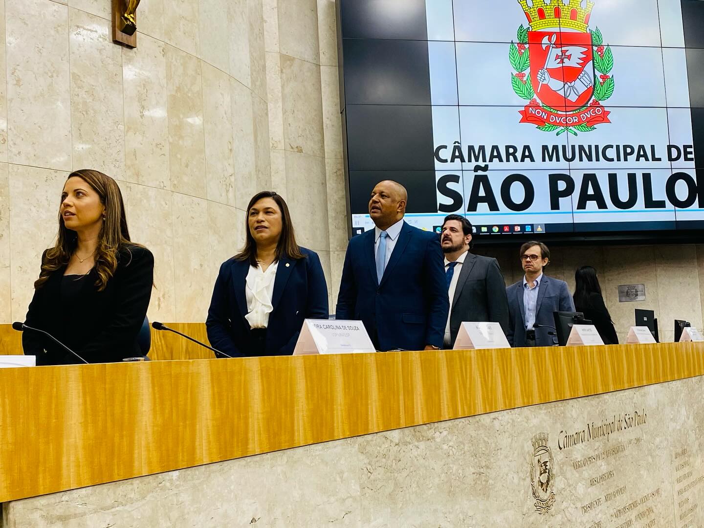 Neuromodulação e políticas públicas Câmara Municipal de São Paulo
