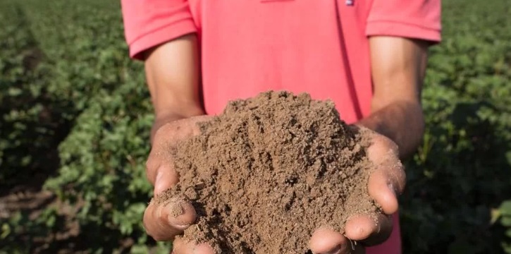 postEstado levará anos para recuperar fertilidade de solo destinado a grãosna categoriaEm Foco