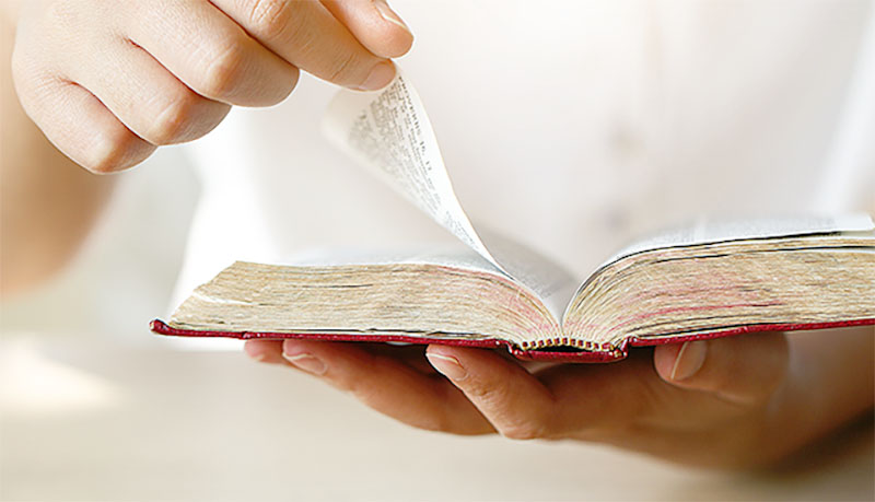 Imagem de capa - A fé que faz a diferença na vida de quem crê nas promessas