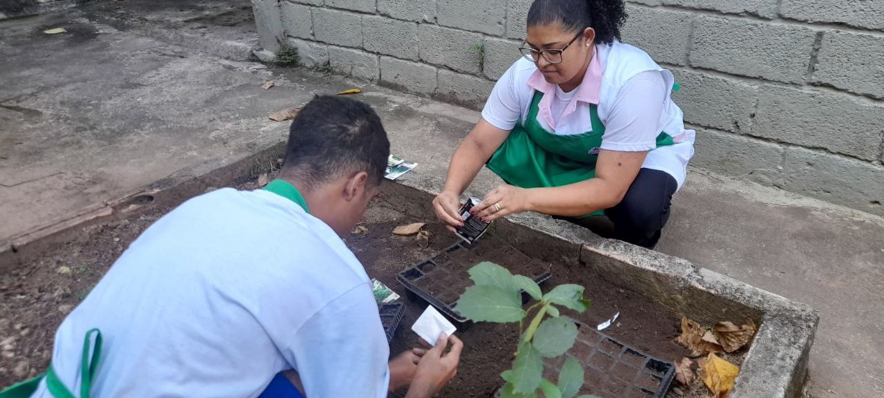 postInternos revitalizam horta de unidade em Belo Horizontena categoriaSocioeducativo