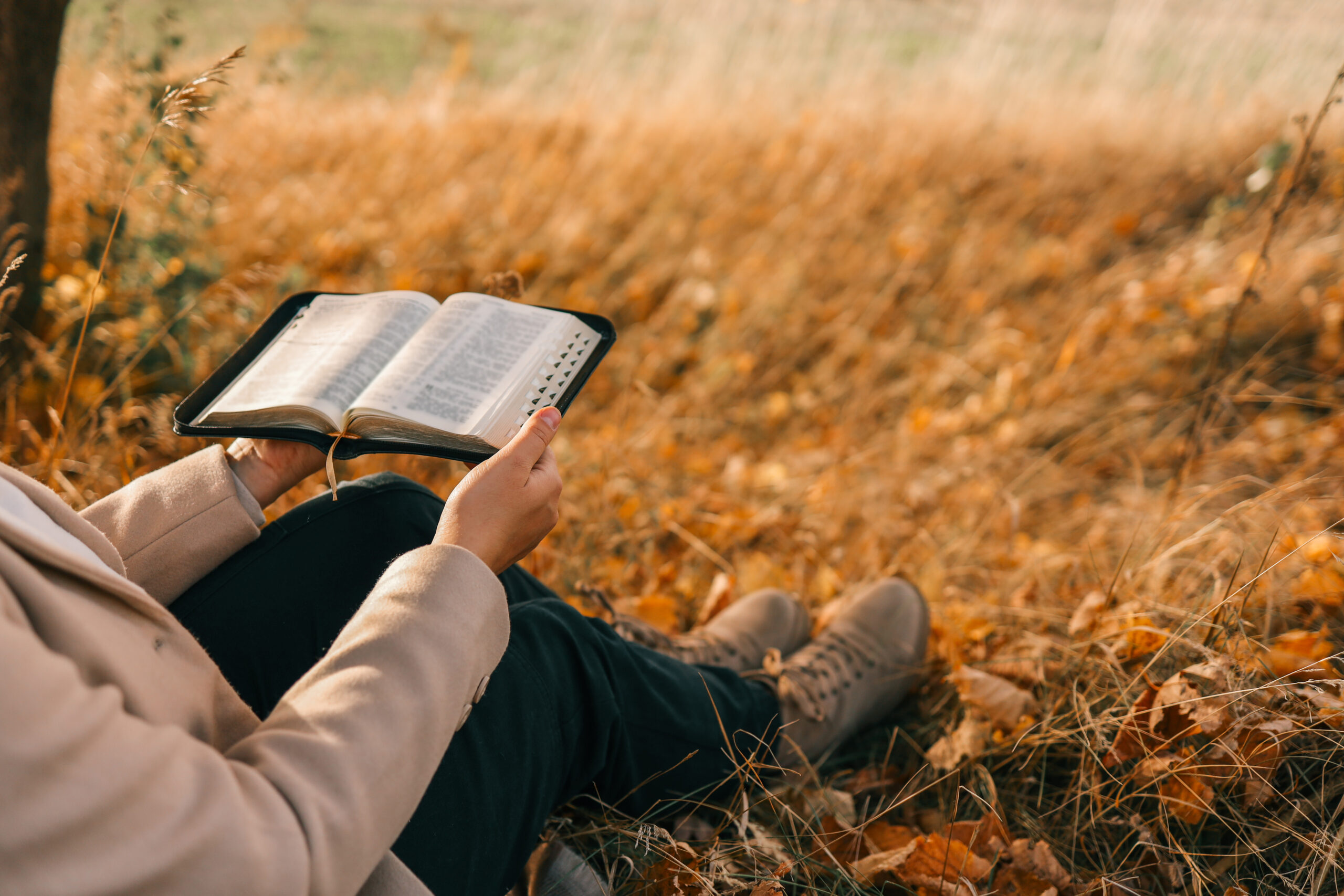 Girl with a Bible in her hands, Christian concept