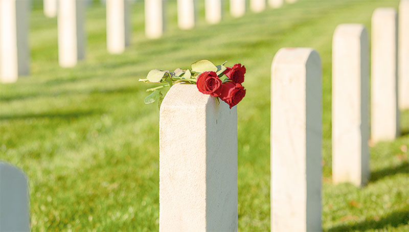 Imagem de capa - Os homens buscarão a morte e a morte fugirá deles