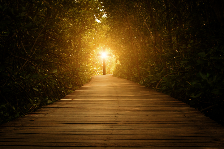 postEscolhemos permanecer no caminho da fé. Leia e meditena categoriaEster Bezerra