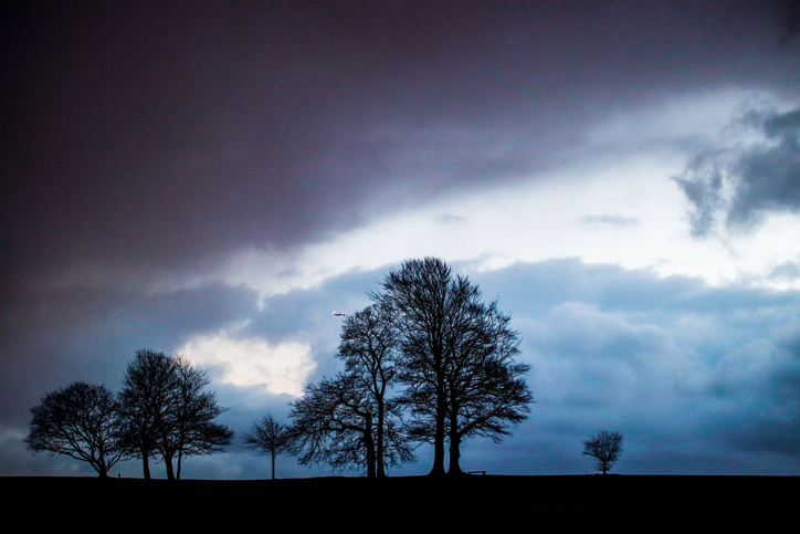 Beautiful view of black silhouettes of trees with fallen leaves on a cloudy blue sky background