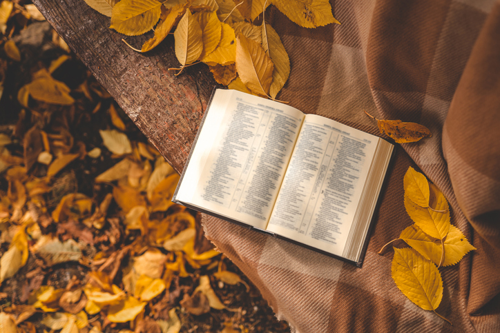 Open Bible on a blanket, autumn