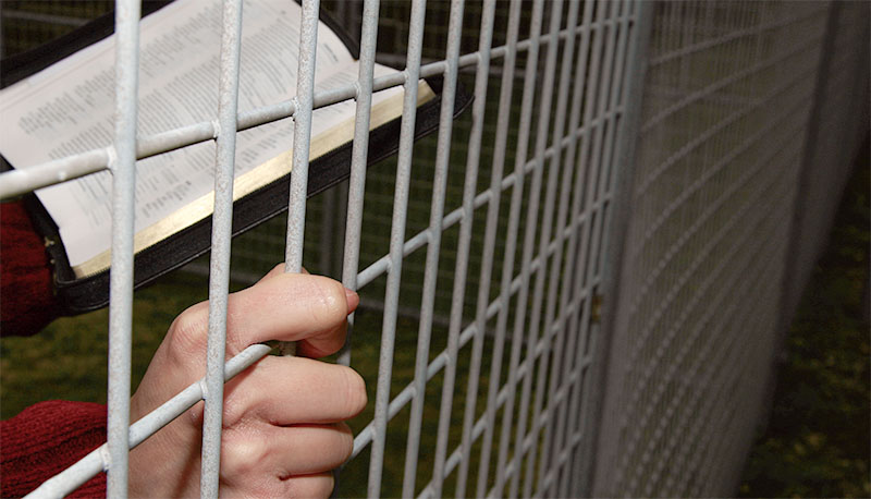 Imagem de capa - Cristãos perseguidos: Fé sob pressão