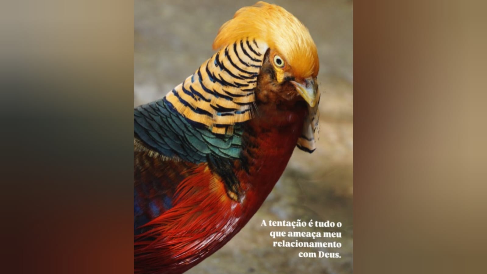 postO que saber sobre a tentação. Confira a mensagemna categoriaCuidado!
