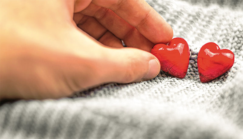 Imagem de capa - A ordem do amor