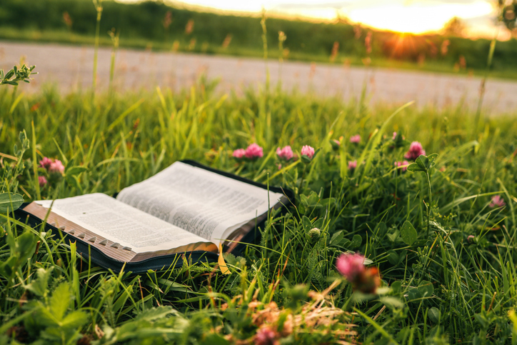 Imagem de capa - Pressa em cumprir