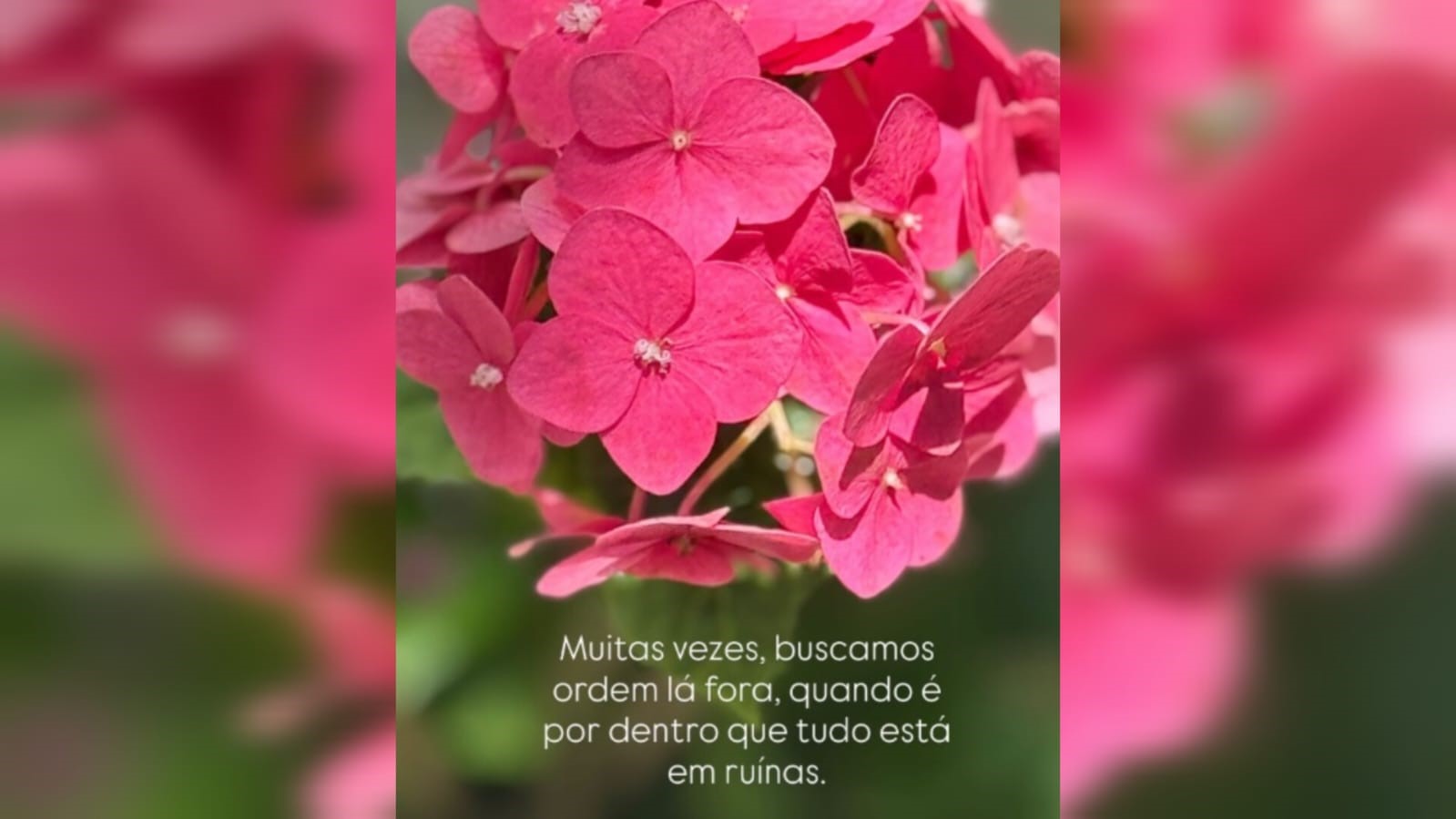Amor em ruínas_