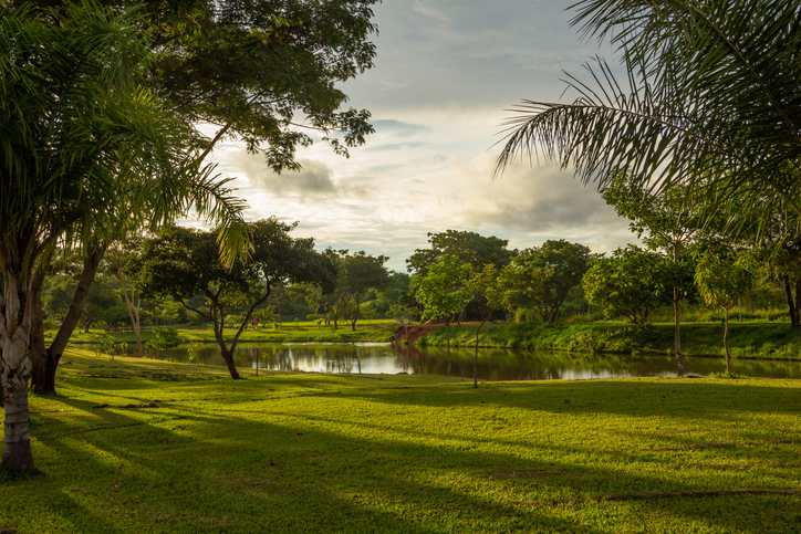 Imagem de capa - Deus temível