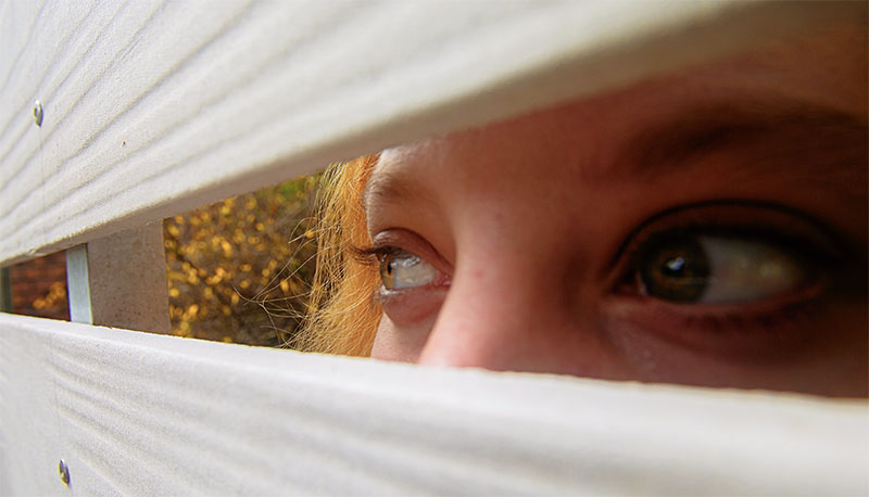 Imagem de capa - Timidez ou medo?