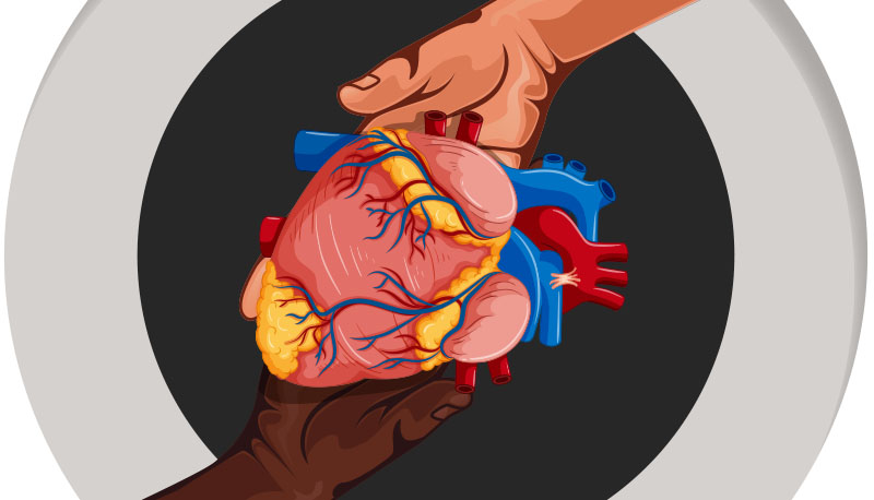 Doação de órgãos: um ato de solidariedade e de amor ao próximo