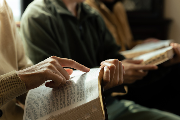 Imagem de capa - Puríssima Palavra