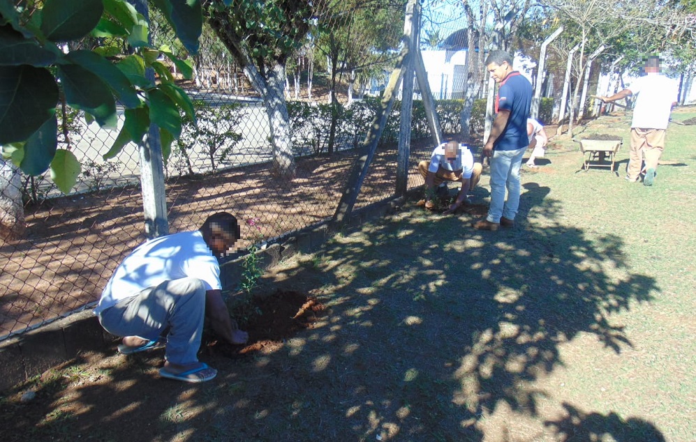 USE Curso de Mudas Florestais2