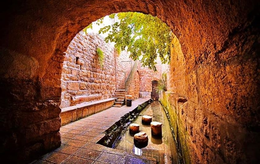 Imagem de capa - Sétimo dia da Caravana Casamento Blindado em Israel