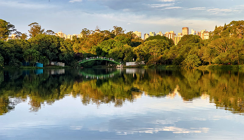 Contato com a natureza melhora a vida