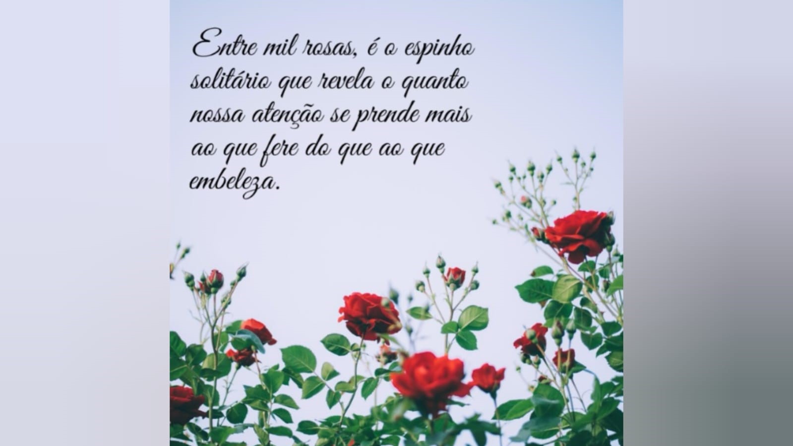 Onde está a nossa atenção_