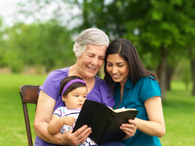 Imagem de capa - Força e honra