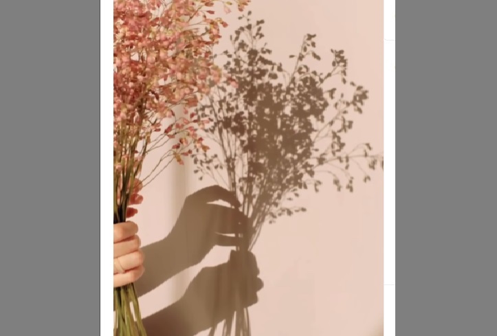 pensamento do dia &#8211; blog d Cris