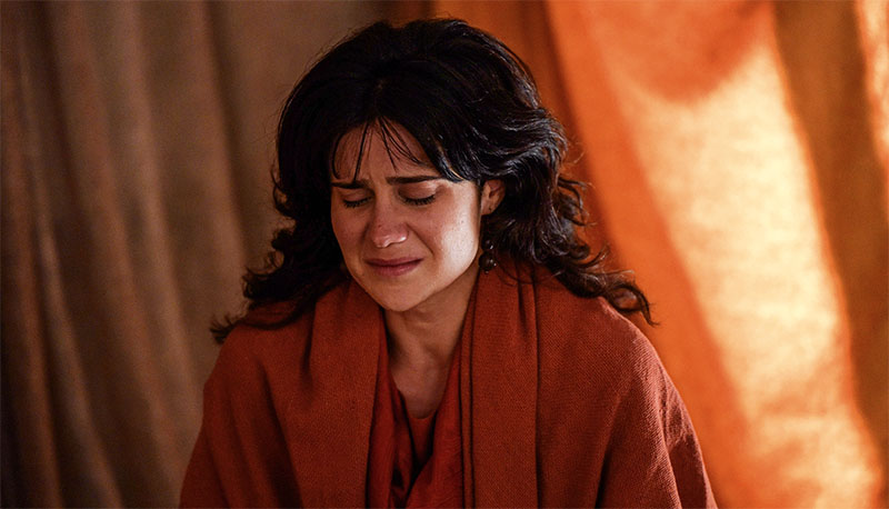 Imagem de capa - O bem oculto no auge da dor