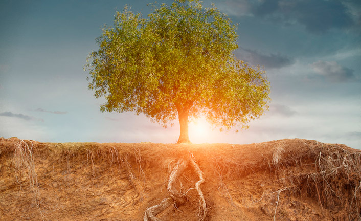 postThe Love School - Escola do Amor: programa debateu o tema &quot;Cortando as raízes ruins&quot;na categoriaConfira como foi o episódio