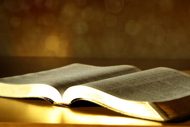 postPreço da almana categoriaEster Bezerra