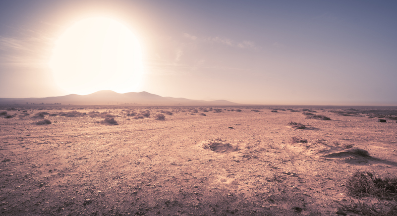 postAlerta: cientista acredita em extinção em massa no planeta Terrana categoriaFim dos Tempos