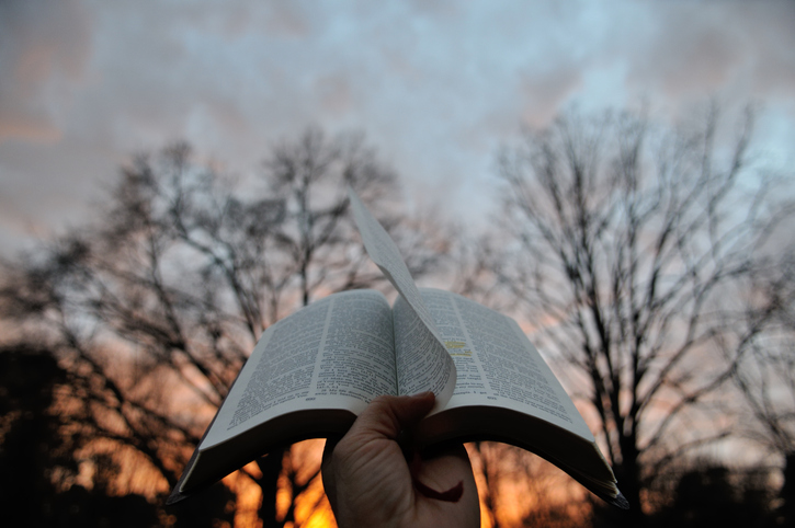 postO Auxiliadorna categoriaEster Bezerra