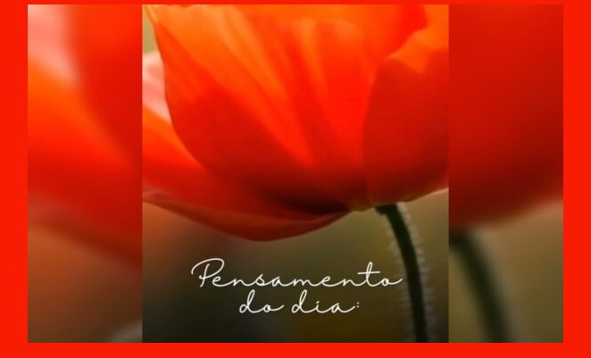 pensamento do dia