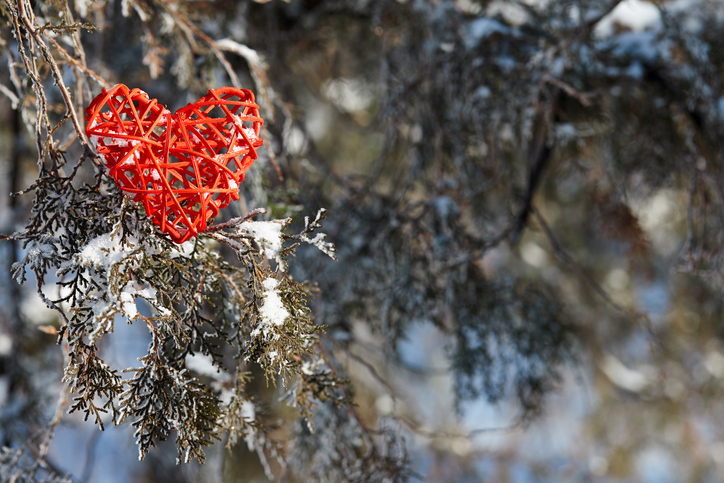 postTerapia do Amor: Corte as raízes ruins e renove sua vida amorosana categoriaNotícias da Universal